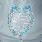 Liposomal Tech for Gut Health