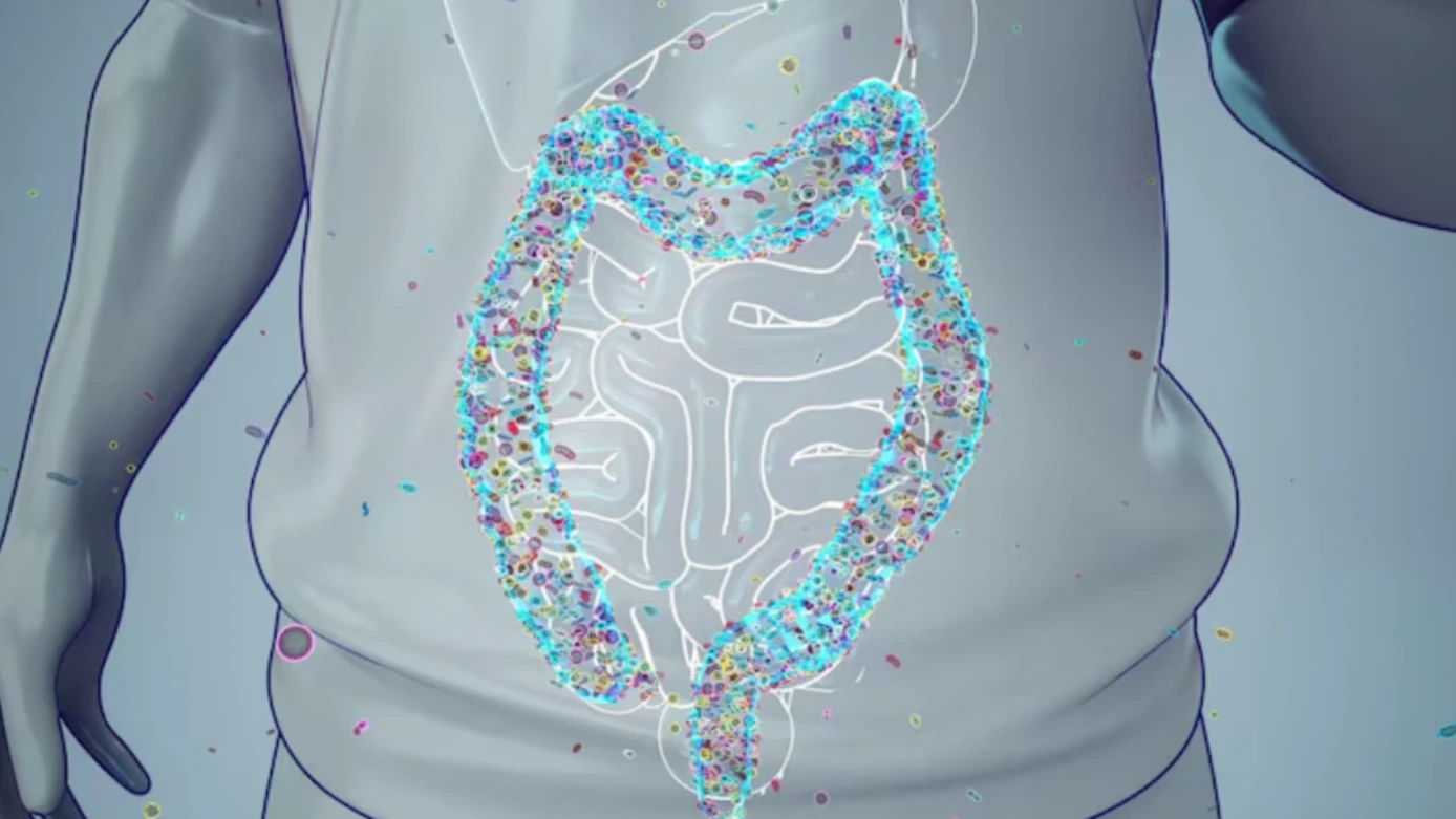 Liposomal Tech for Gut Health