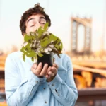 Fighting Pollution with Antioxidants