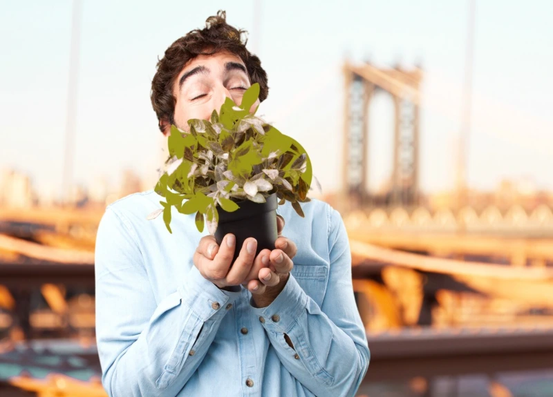 Fighting Pollution with Antioxidants