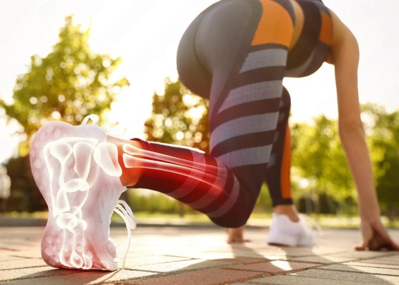 Muscle fiber repair process after intense exercise